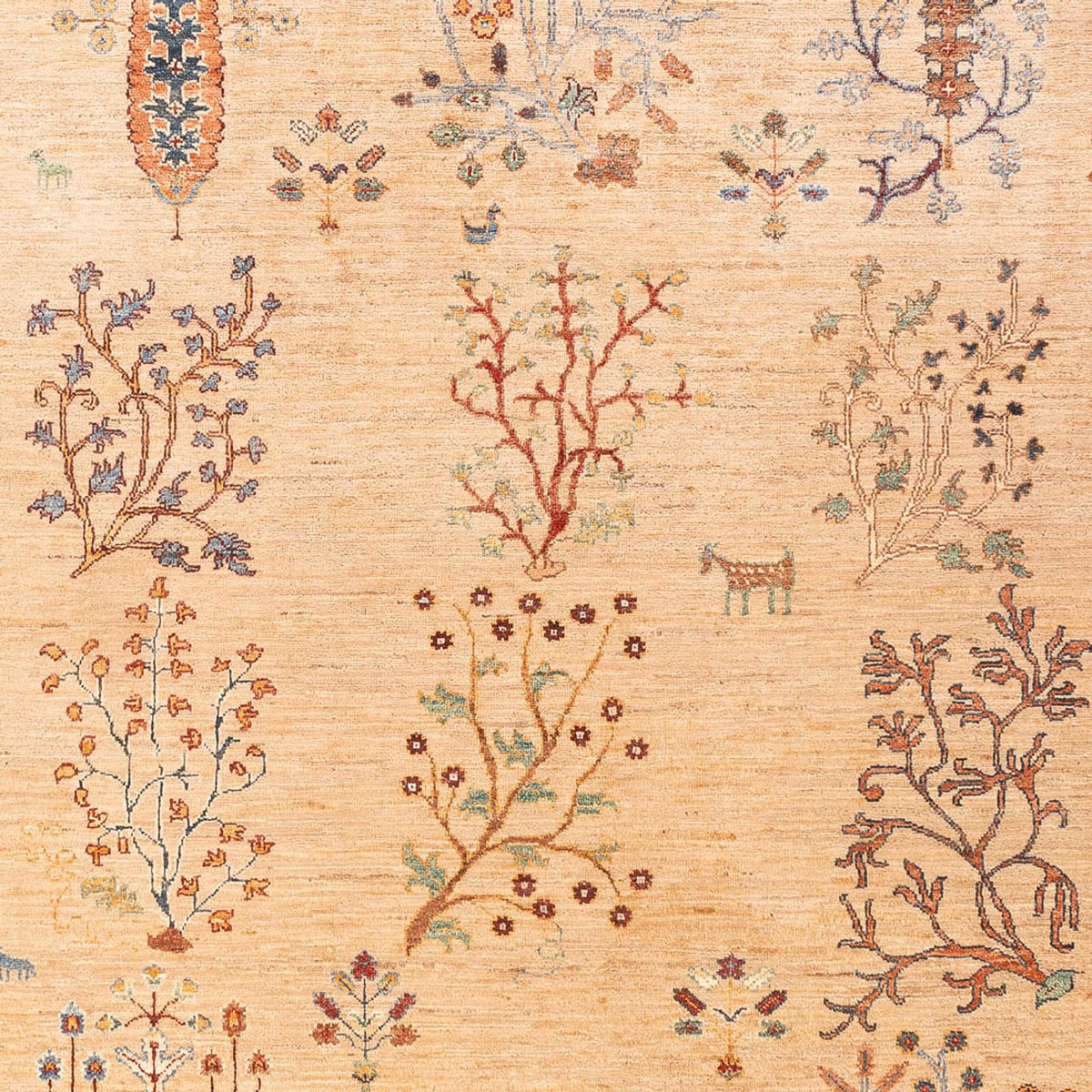 Alfombra Ziegler - Ariana - 293 x 206 cm - beige