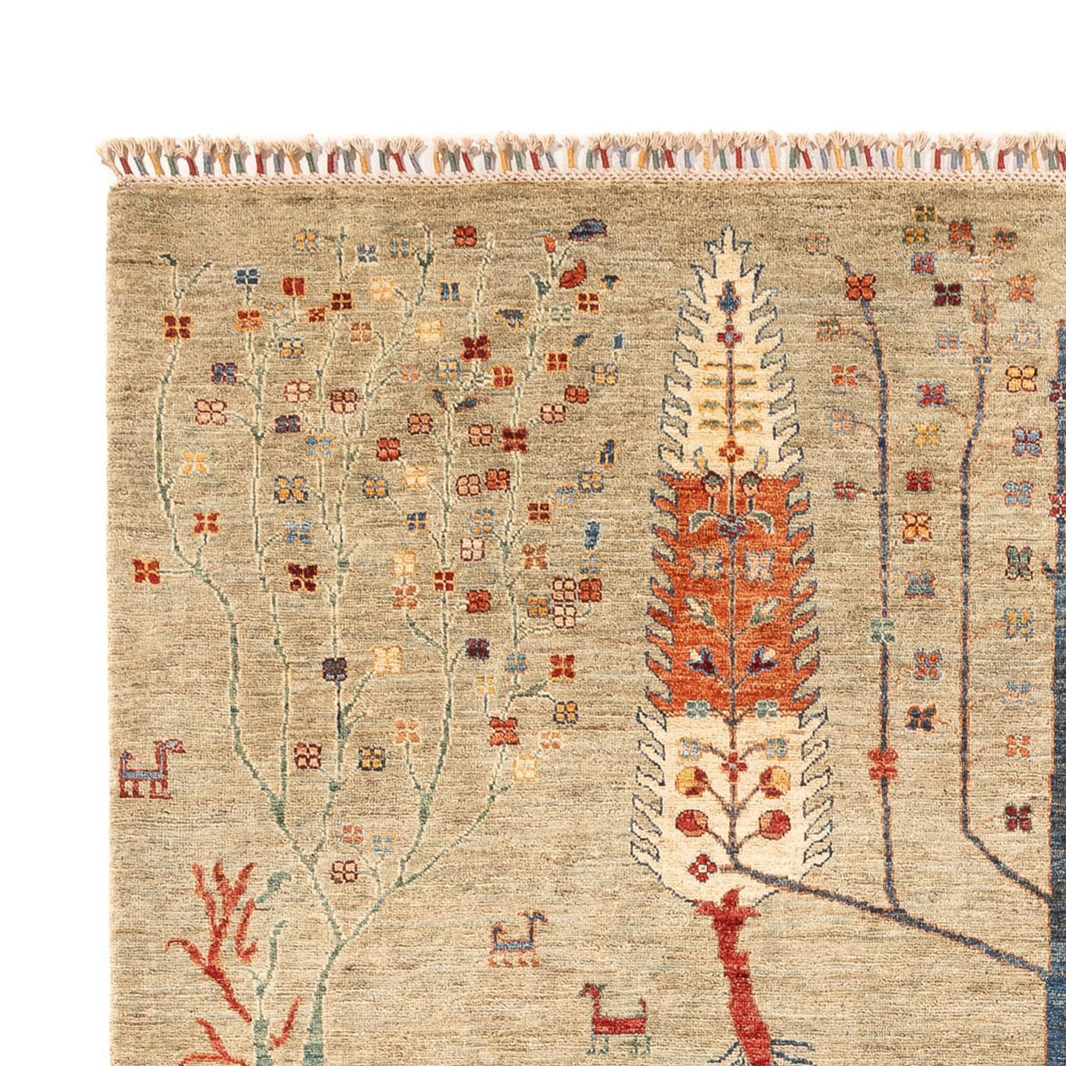 Alfombra Ziegler - Ariana - 299 x 210 cm - arena