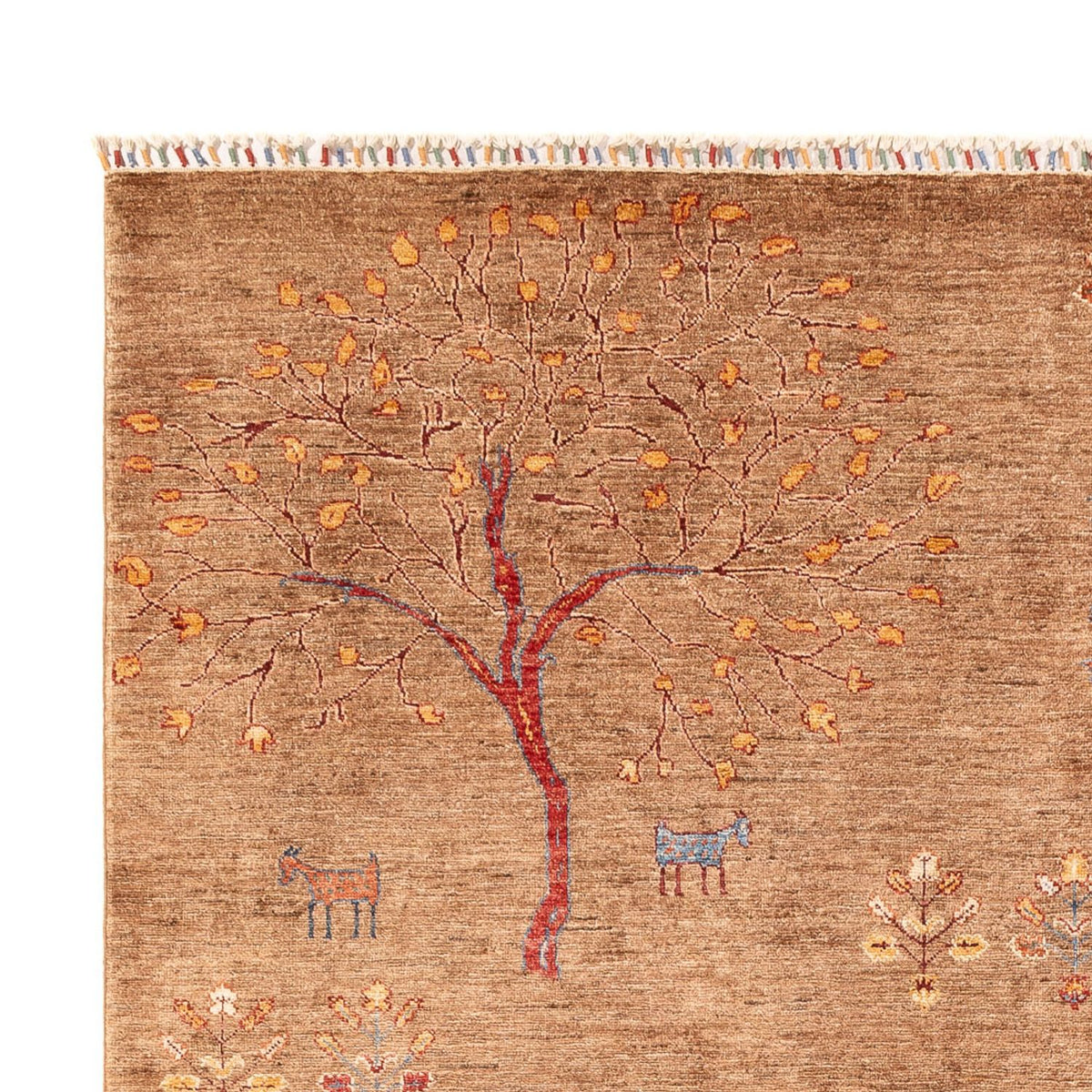 Alfombra Ziegler - Ariana - 298 x 206 cm - beige oscuro