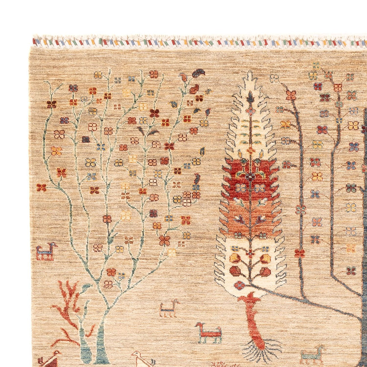 Alfombra Ziegler - Ariana - 285 x 207 cm - beige claro