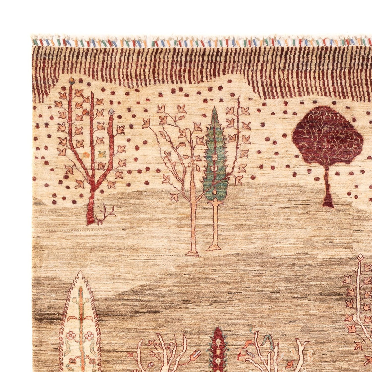 Alfombra Ziegler - Ariana - 298 x 202 cm - beige oscuro