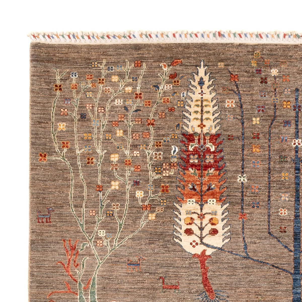 Alfombra Ziegler - Ariana - 298 x 200 cm - beige oscuro