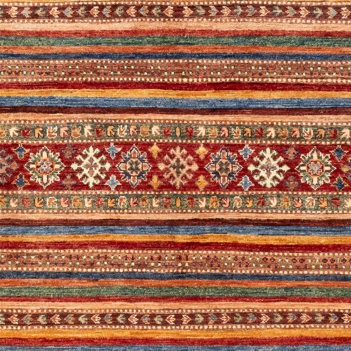 Alfombra Ziegler - Shal - 209 x 152 cm - multicolor