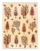 Ariana Alfombra 218x170cm - Alfombra oriental