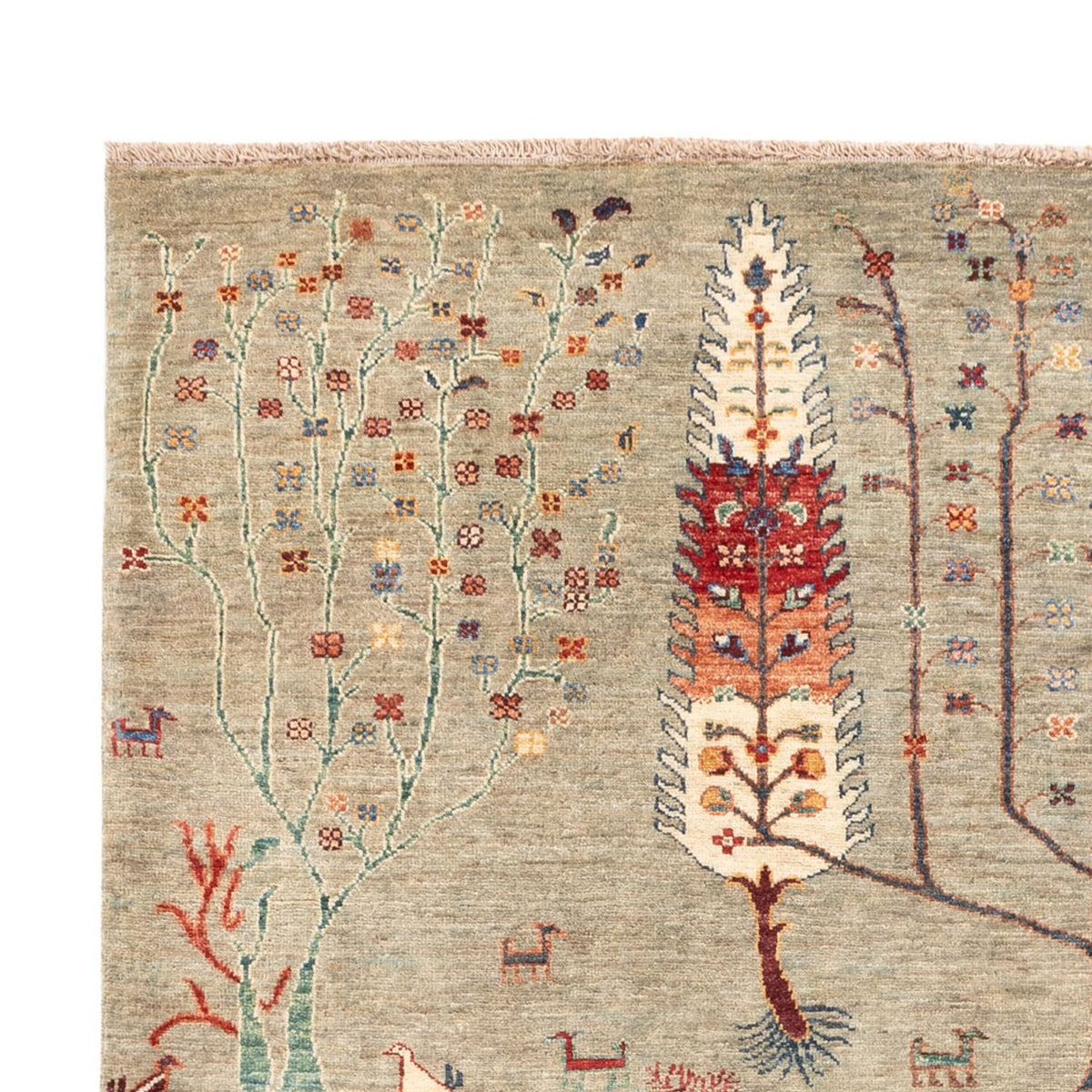 Alfombra Ziegler - Ariana - 244 x 173 cm - arena