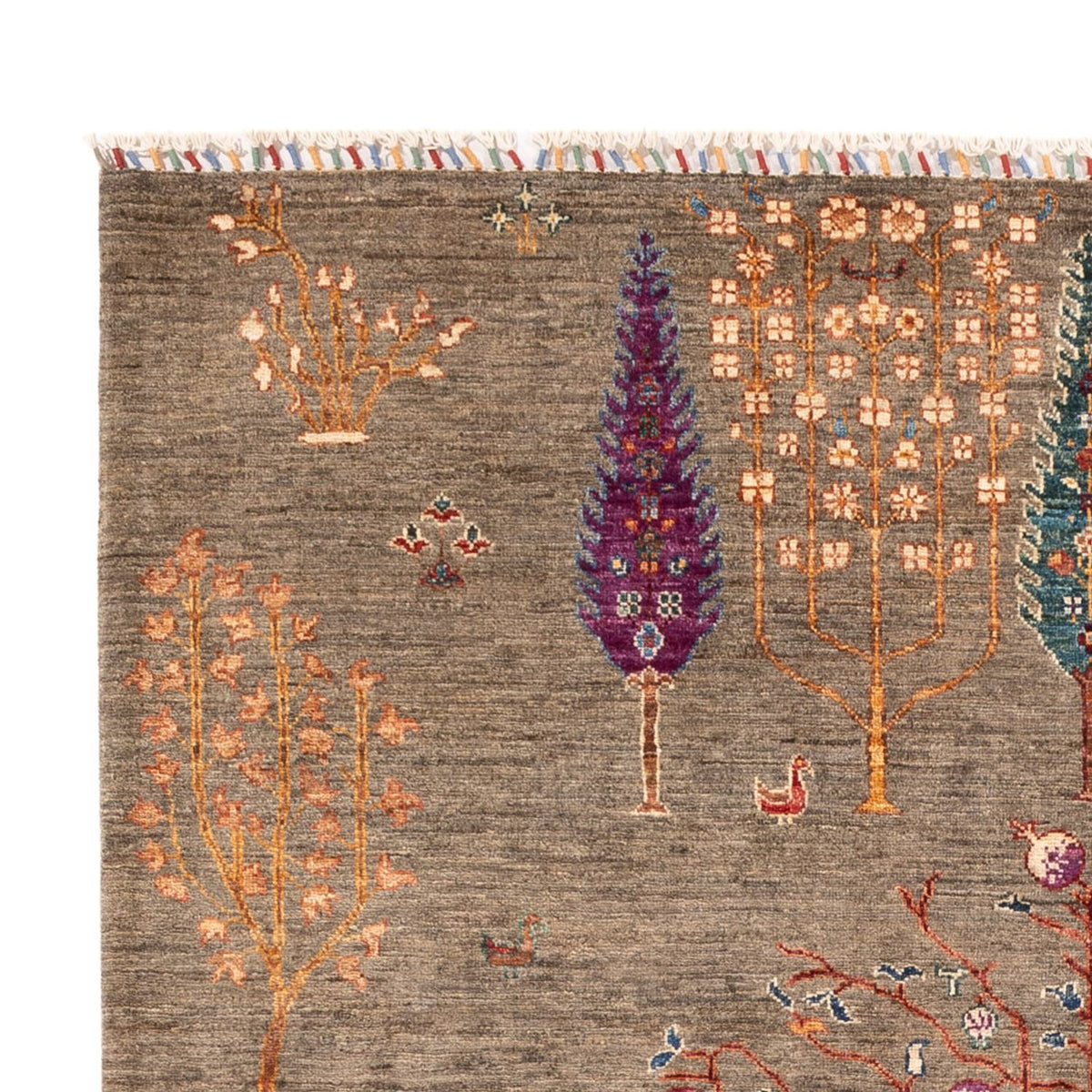 Alfombra Ziegler - Ariana - 245 x 172 cm - beige oscuro