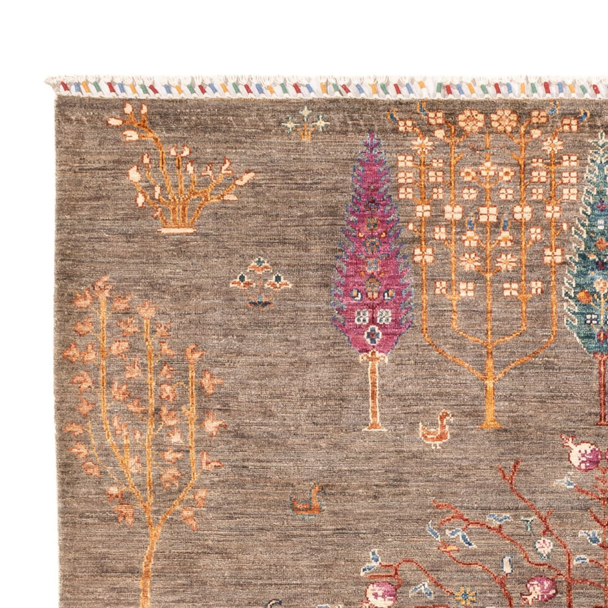 Alfombra Ziegler - Ariana - 237 x 171 cm - gris