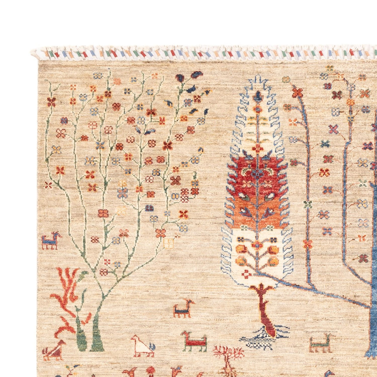 Alfombra Ziegler - Ariana - 232 x 168 cm - gris claro