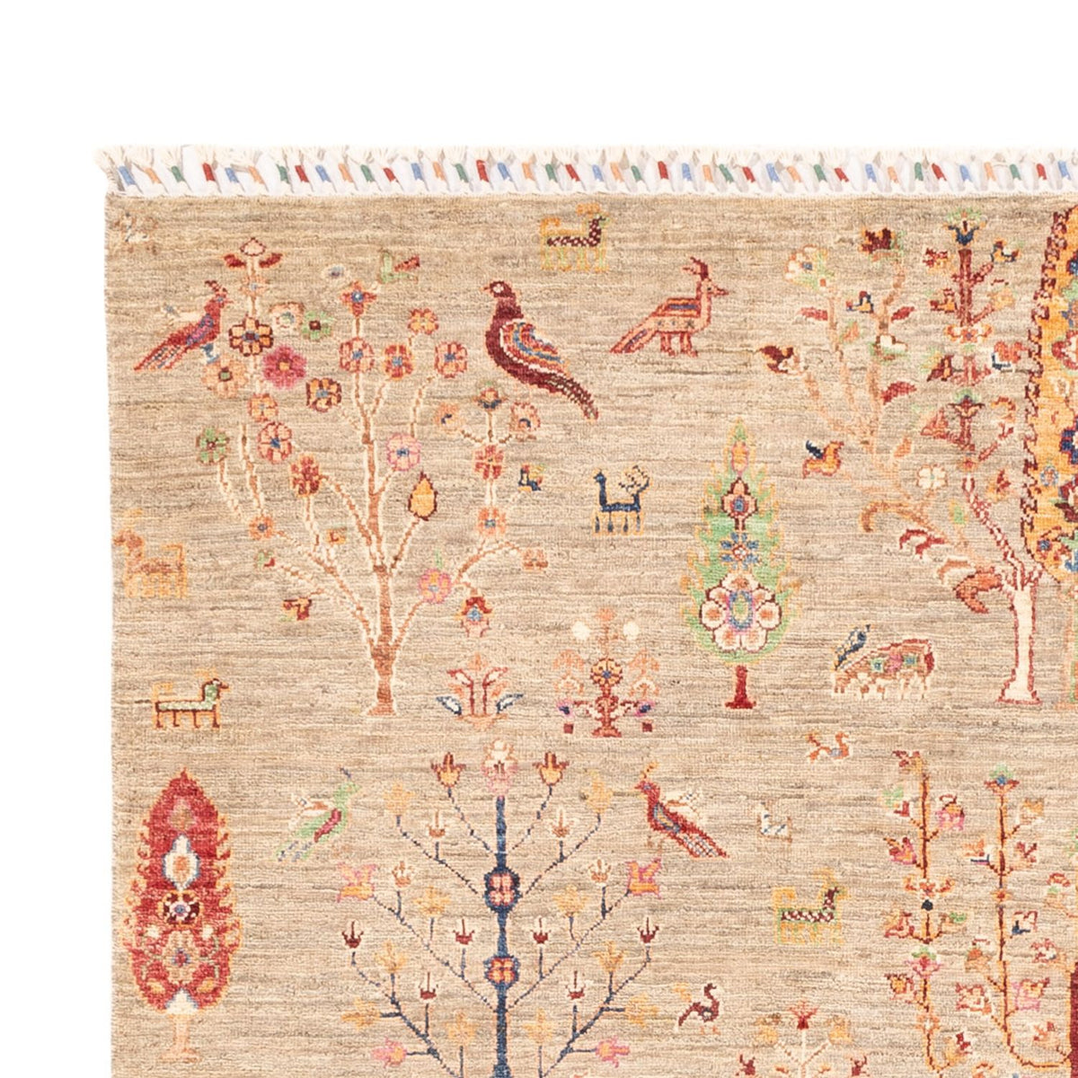 Alfombra Ziegler - Ariana - 242 x 169 cm - beige claro