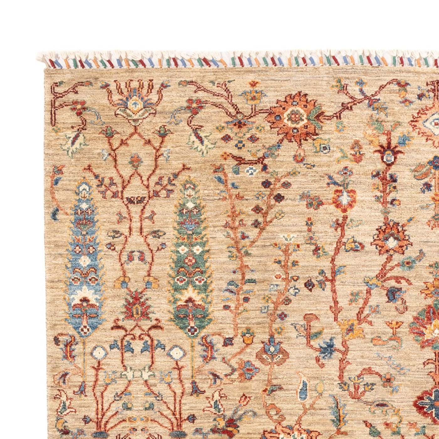 Ariana Alfombra 233x168cm - Alfombra oriental
