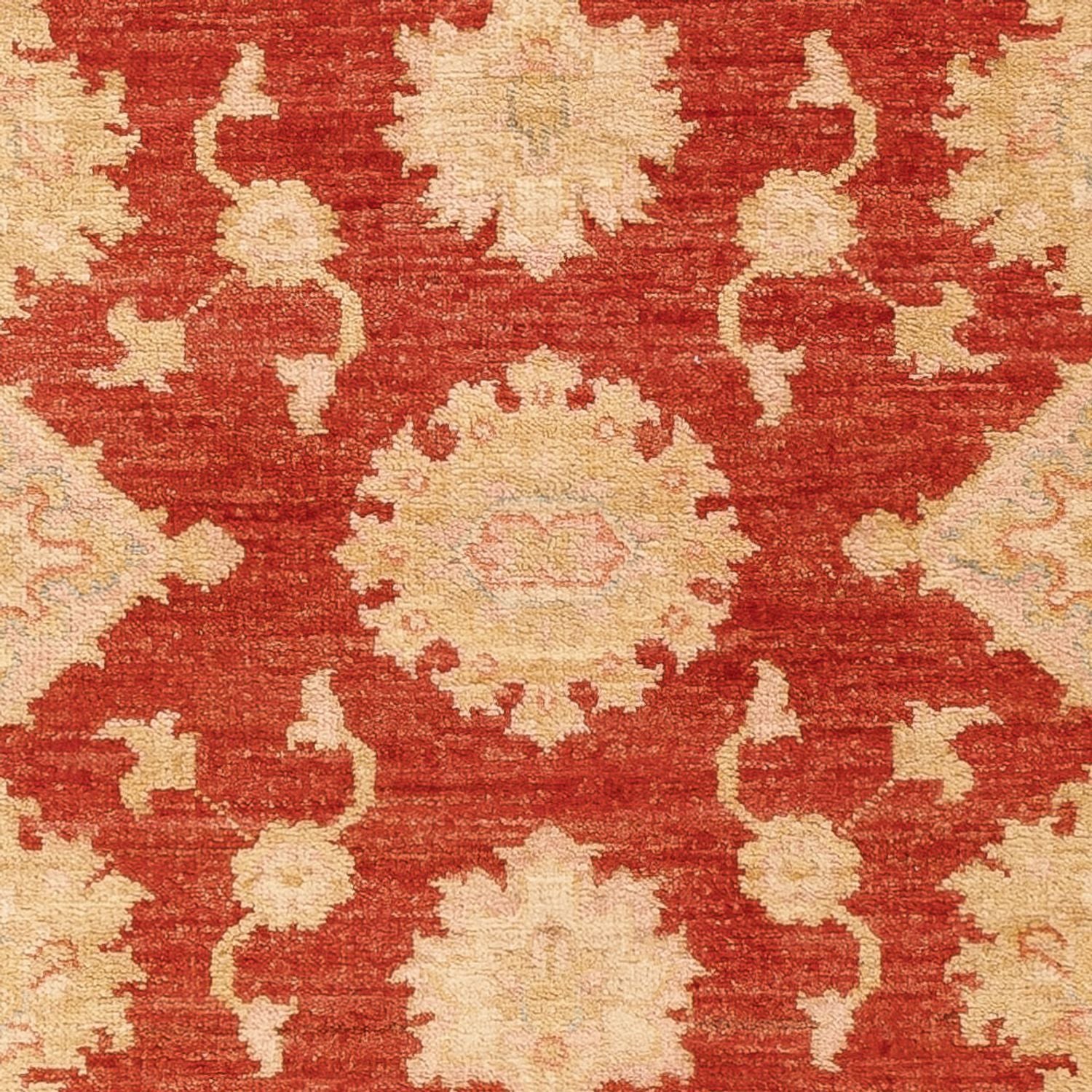 Alfombra de pasillo Alfombra Ziegler - 197 x 87 cm - rojo