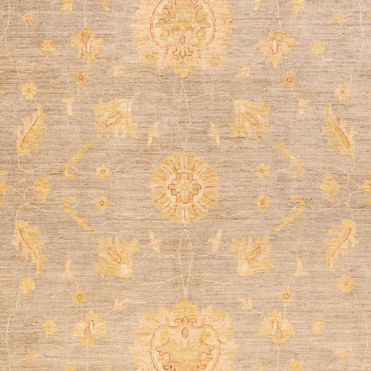 Alfombra Ziegler - 397 x 304 cm - beige oscuro
