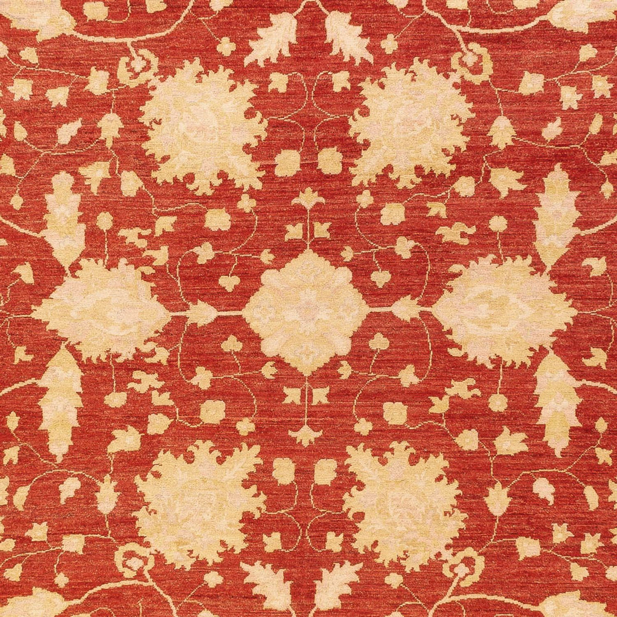 Alfombra Ziegler - 399 x 305 cm - rojo