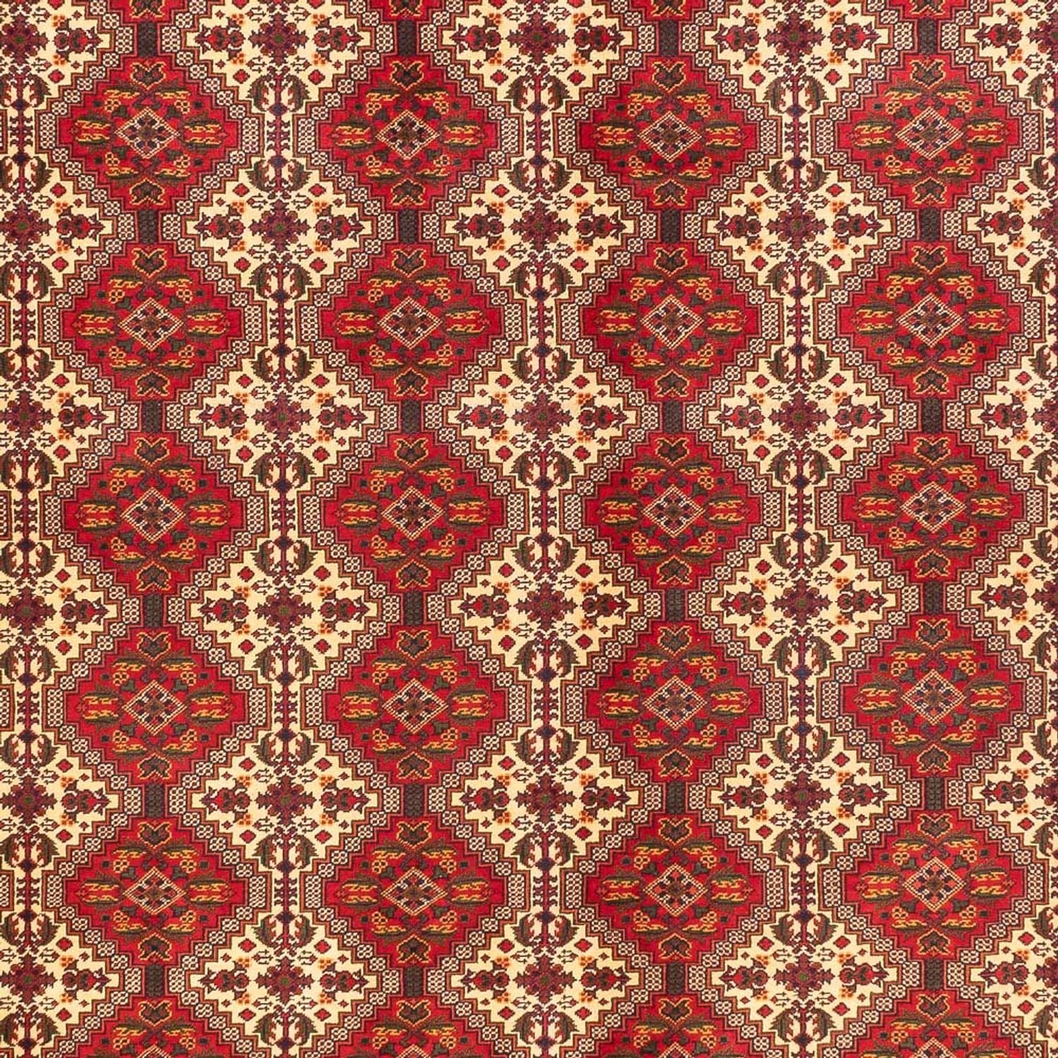 Alfombra afgana - Real - 385 x 300 cm - multicolor