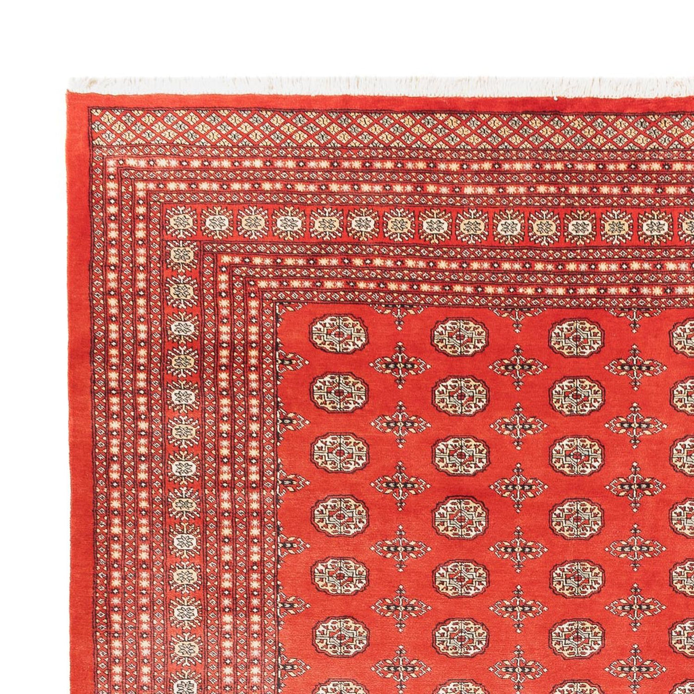 Bukhara Alfombra 401x311cm - Alfombra oriental