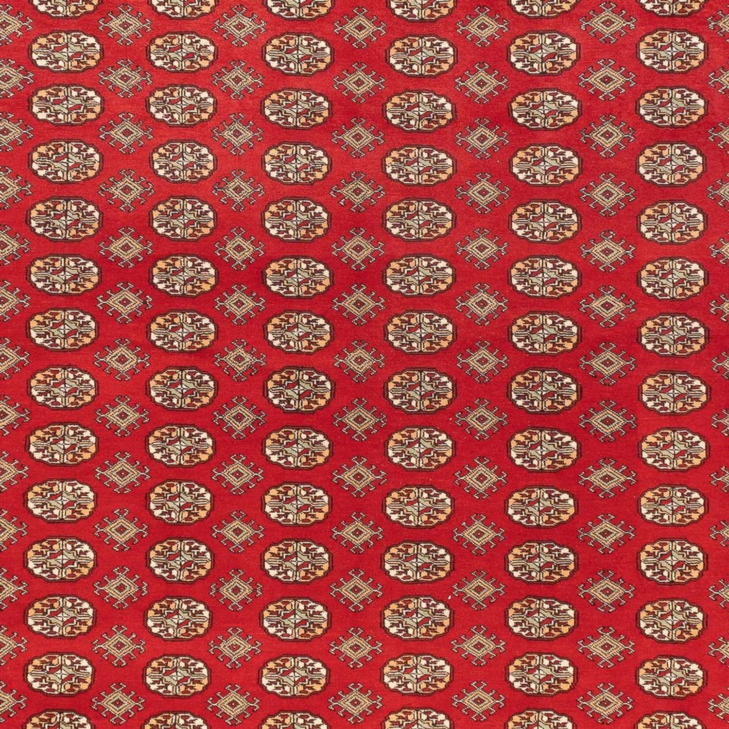 Alfombra afgana - Bukhara - 418 x 310 cm - rojo claro