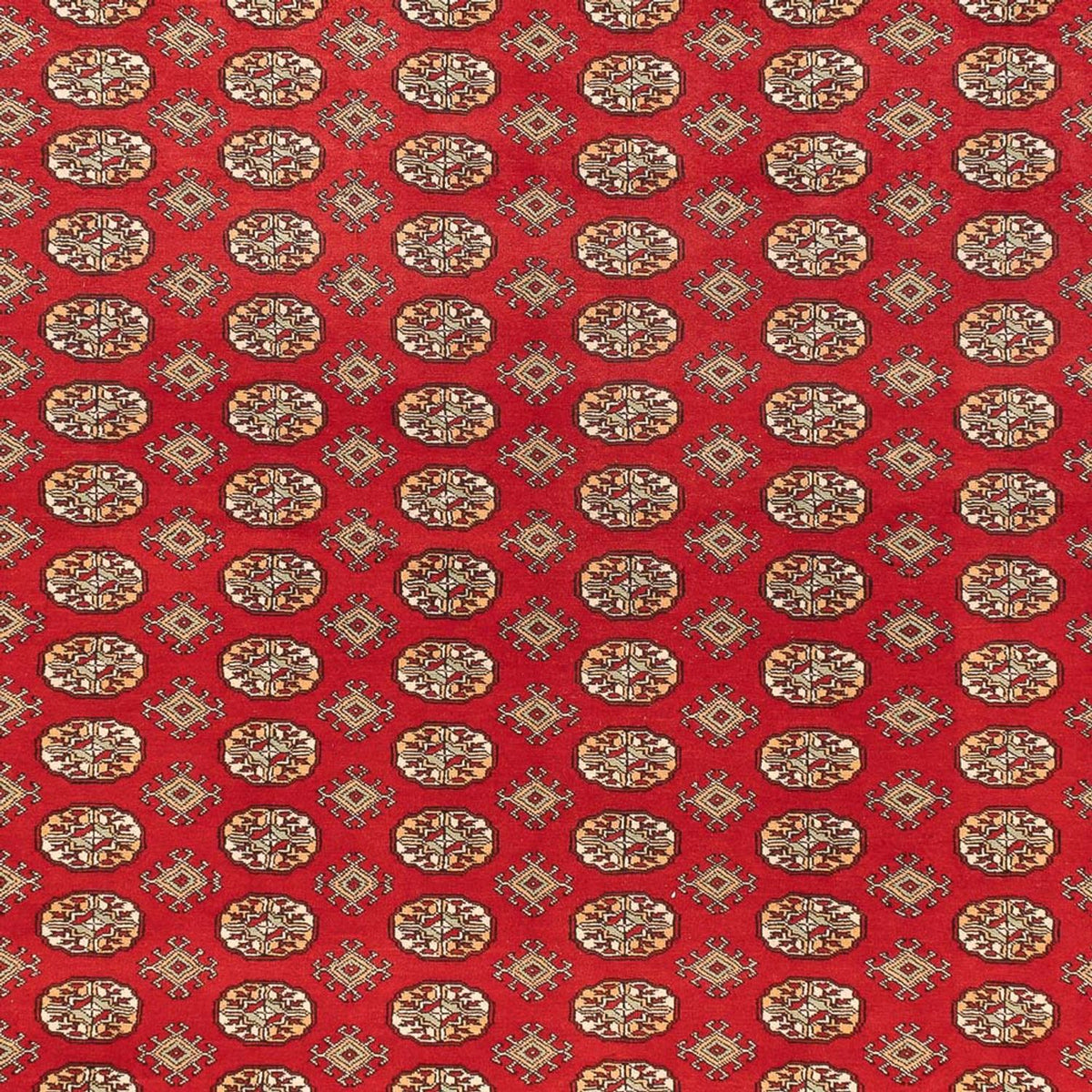 Alfombra afgana - Bukhara - 418 x 310 cm - rojo claro