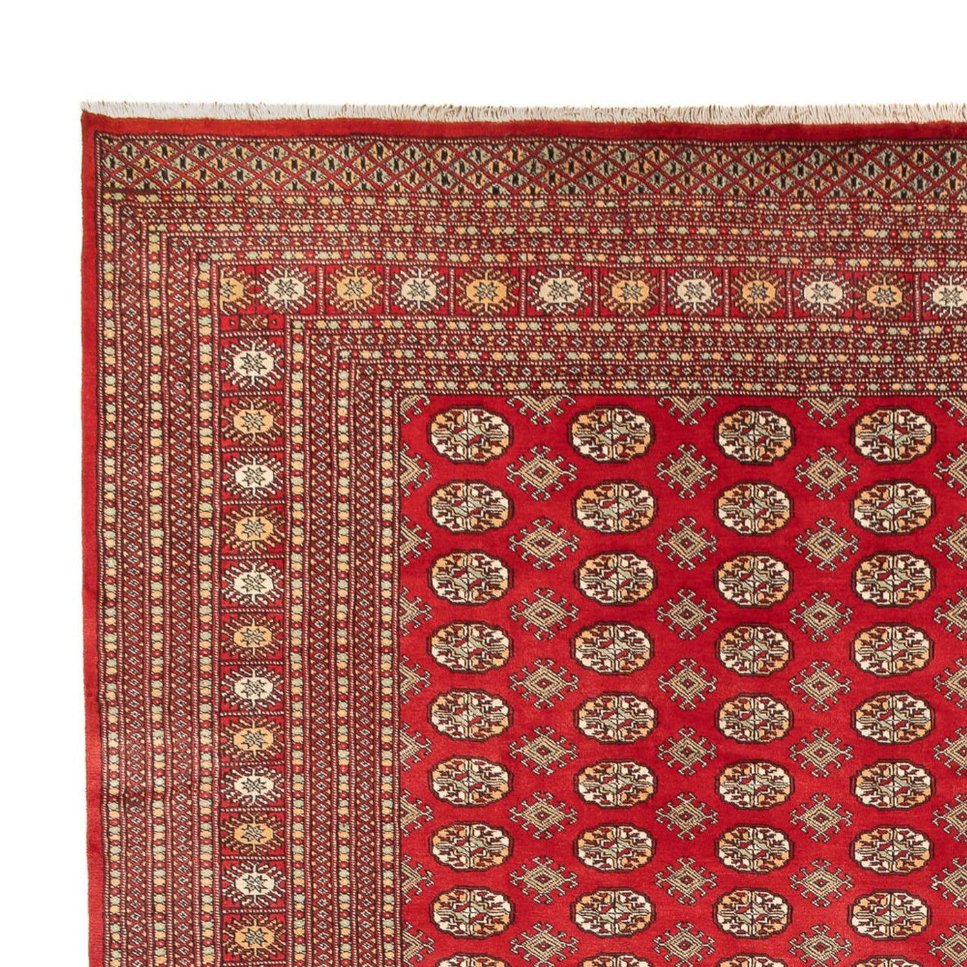 Bukhara Alfombra 418x310cm - Alfombra oriental