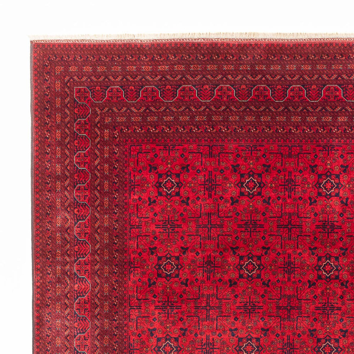 Alfombra afgana 292x390cm - Alfombra oriental