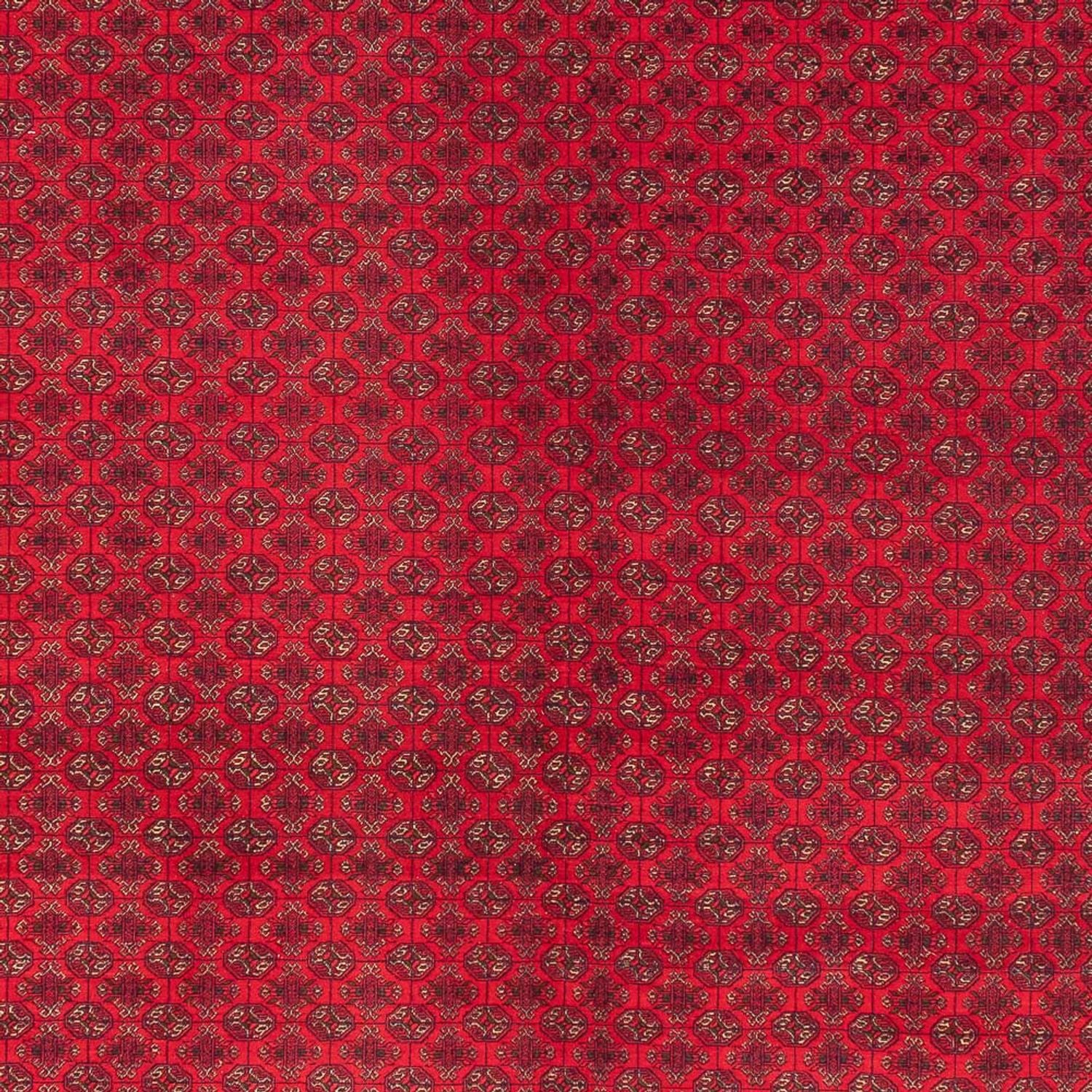 Alfombra afgana - Real - 404 x 294 cm - rojo