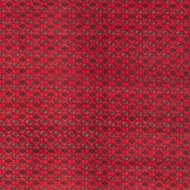 Alfombra afgana - Real - 404 x 294 cm - rojo