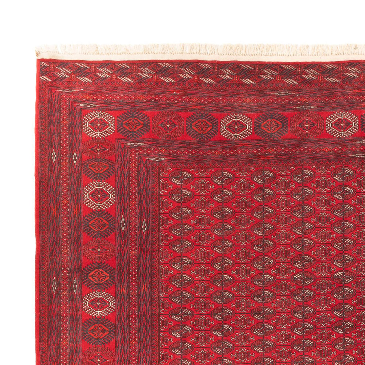 Alfombra afgana 400x305cm - Alfombra oriental