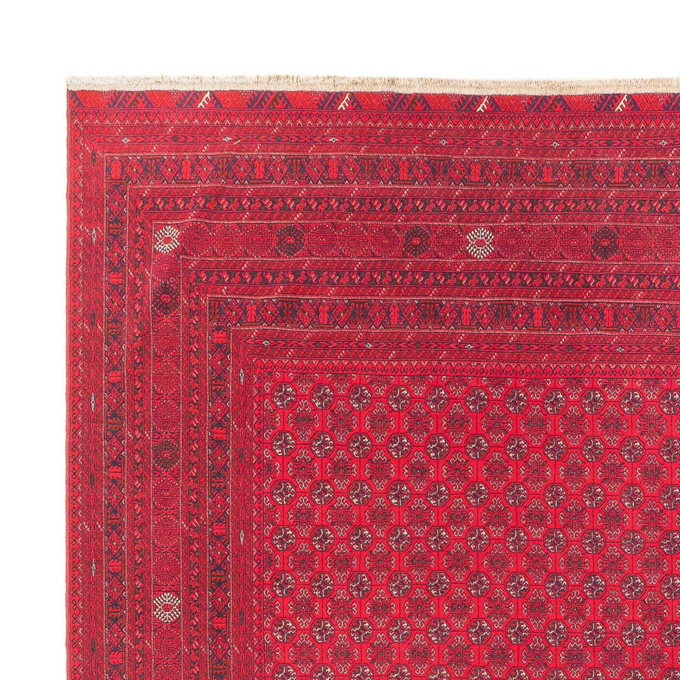 Alfombra afgana 395x294cm - Alfombra oriental