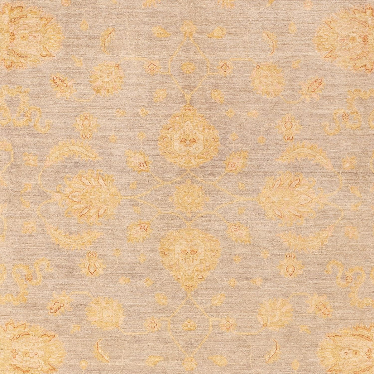 Alfombra Ziegler - 360 x 271 cm - beige oscuro