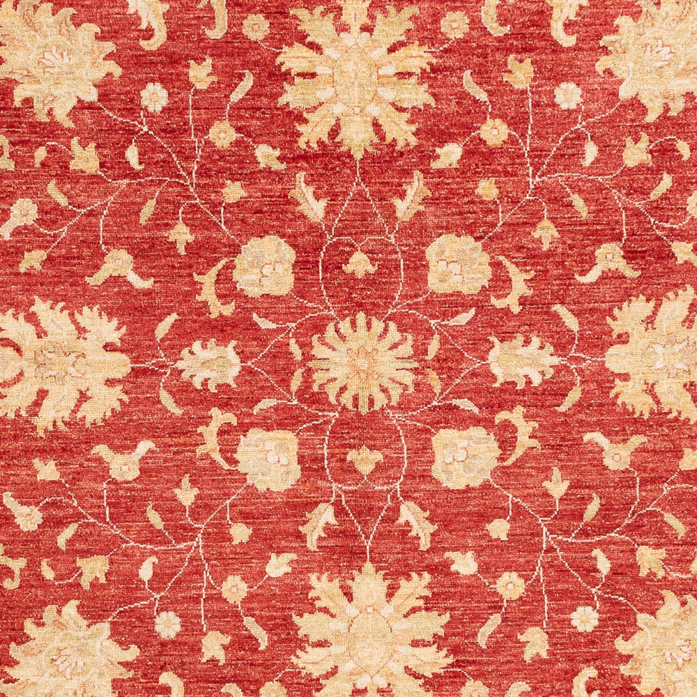 Alfombra Ziegler redondo  - 247 x 247 cm - rojo
