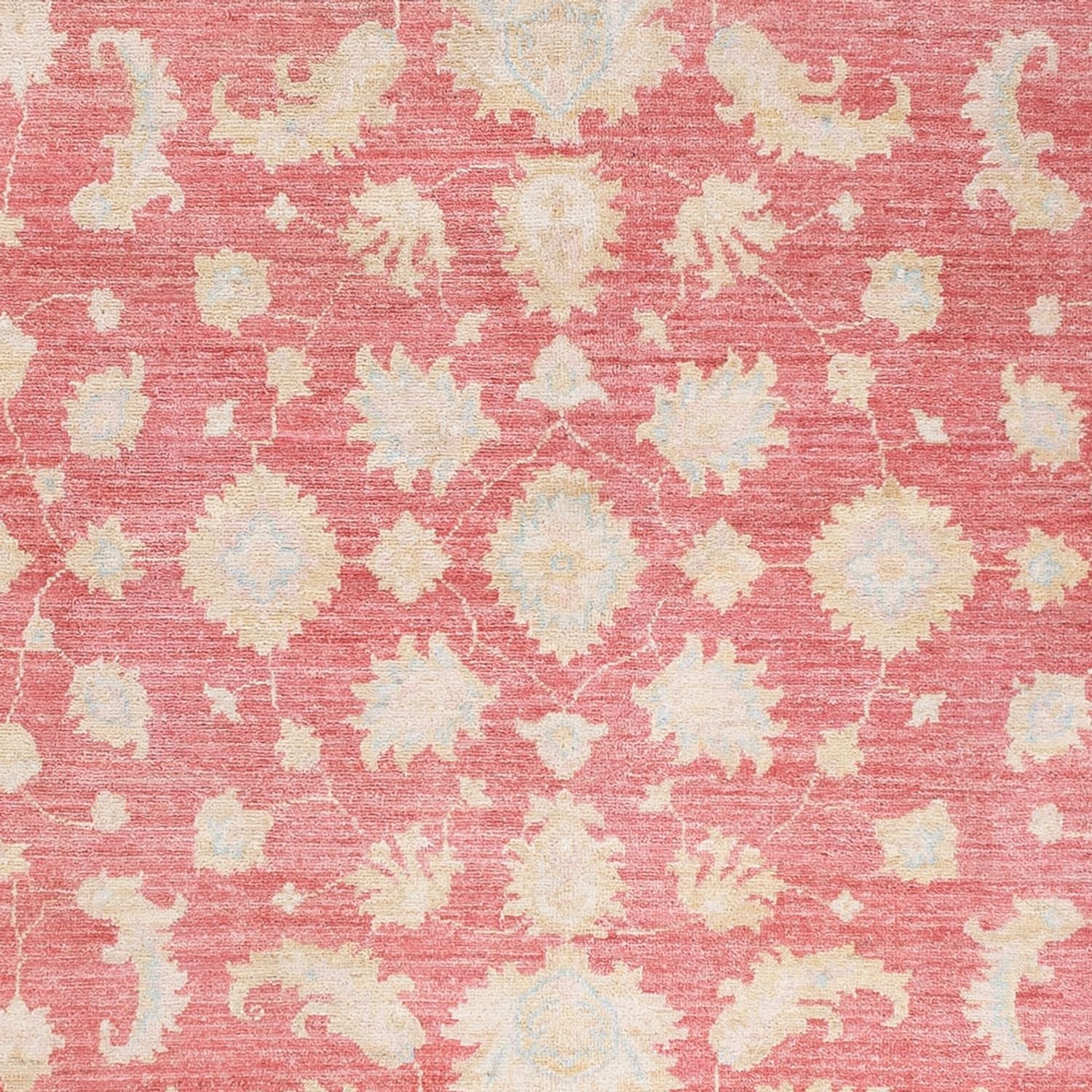 Alfombra Ziegler - 245 x 175 cm - rojo