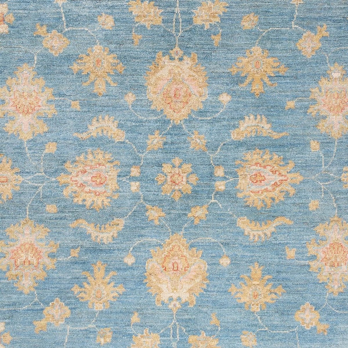 Alfombra Ziegler - 240 x 172 cm - azul