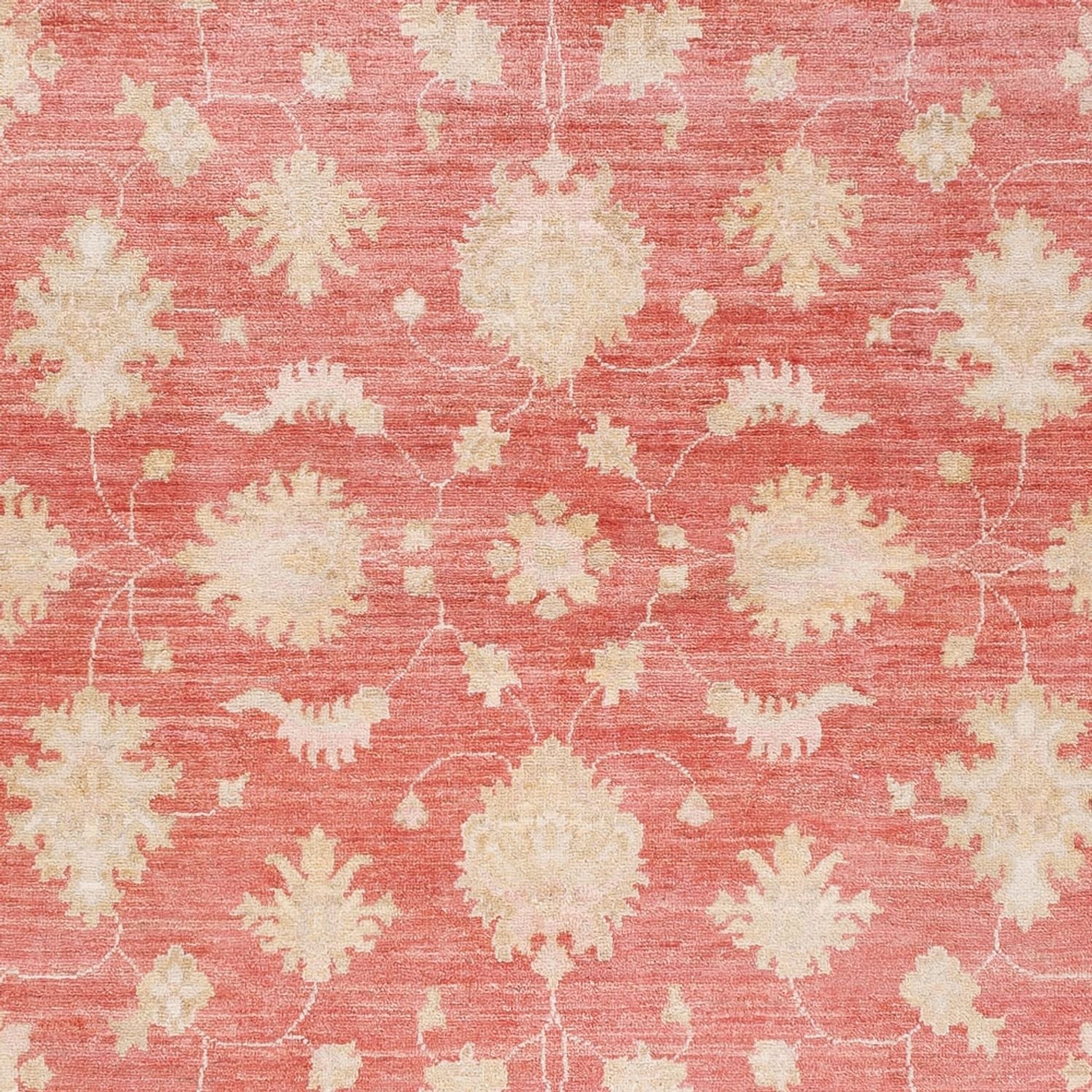Alfombra Ziegler - 248 x 174 cm - rojo