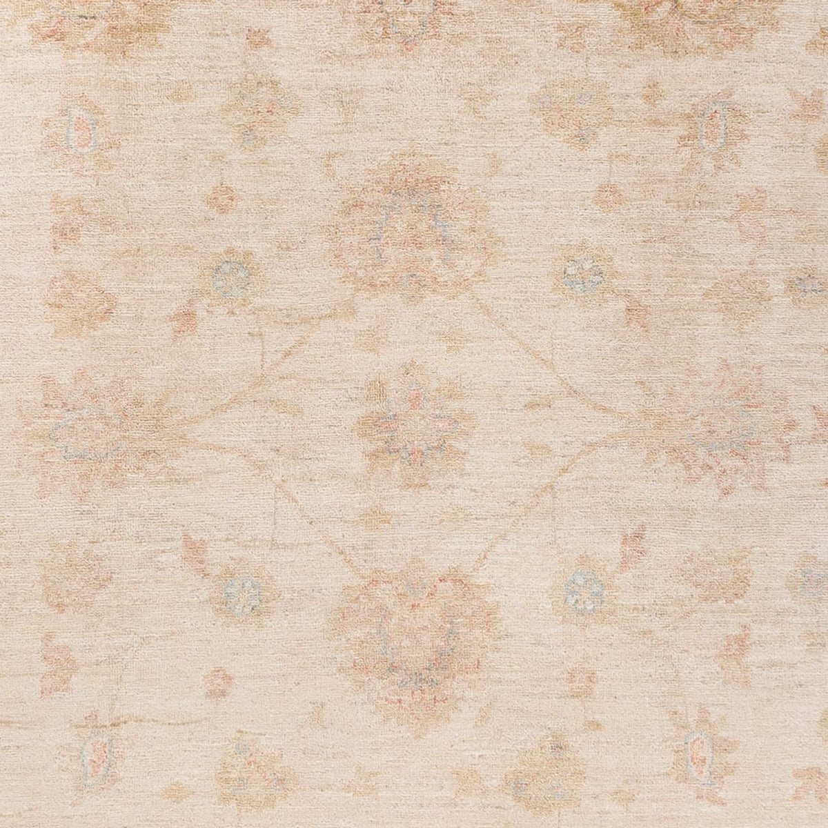 Alfombra Ziegler - Ariana - 229 x 170 cm - beige