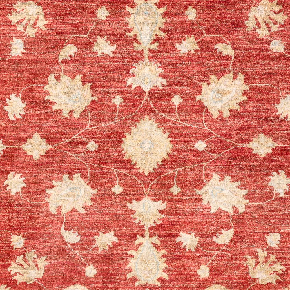 Alfombra Ziegler - Moderna - 206 x 154 cm - rojo