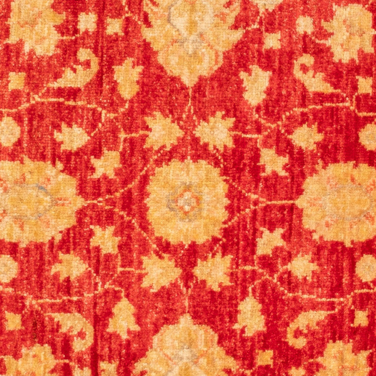 Alfombra Ziegler redondo  - 96 x 99 cm - rojo