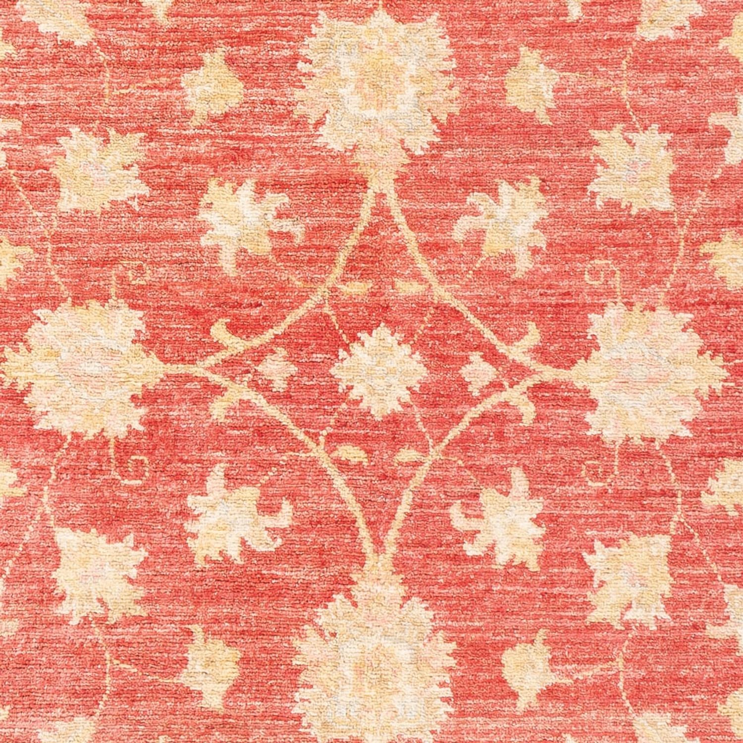 Alfombra Ziegler - 176 x 116 cm - rojo