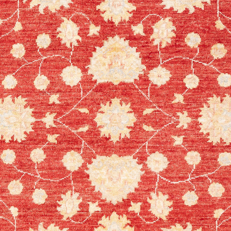 Alfombra Ziegler - 177 x 126 cm - rojo