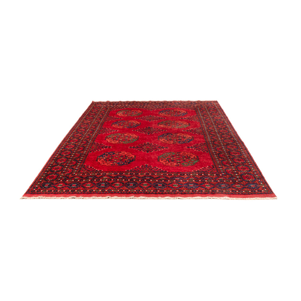 Alfombra afgana - Kunduz - 312 x 208 cm - rojo