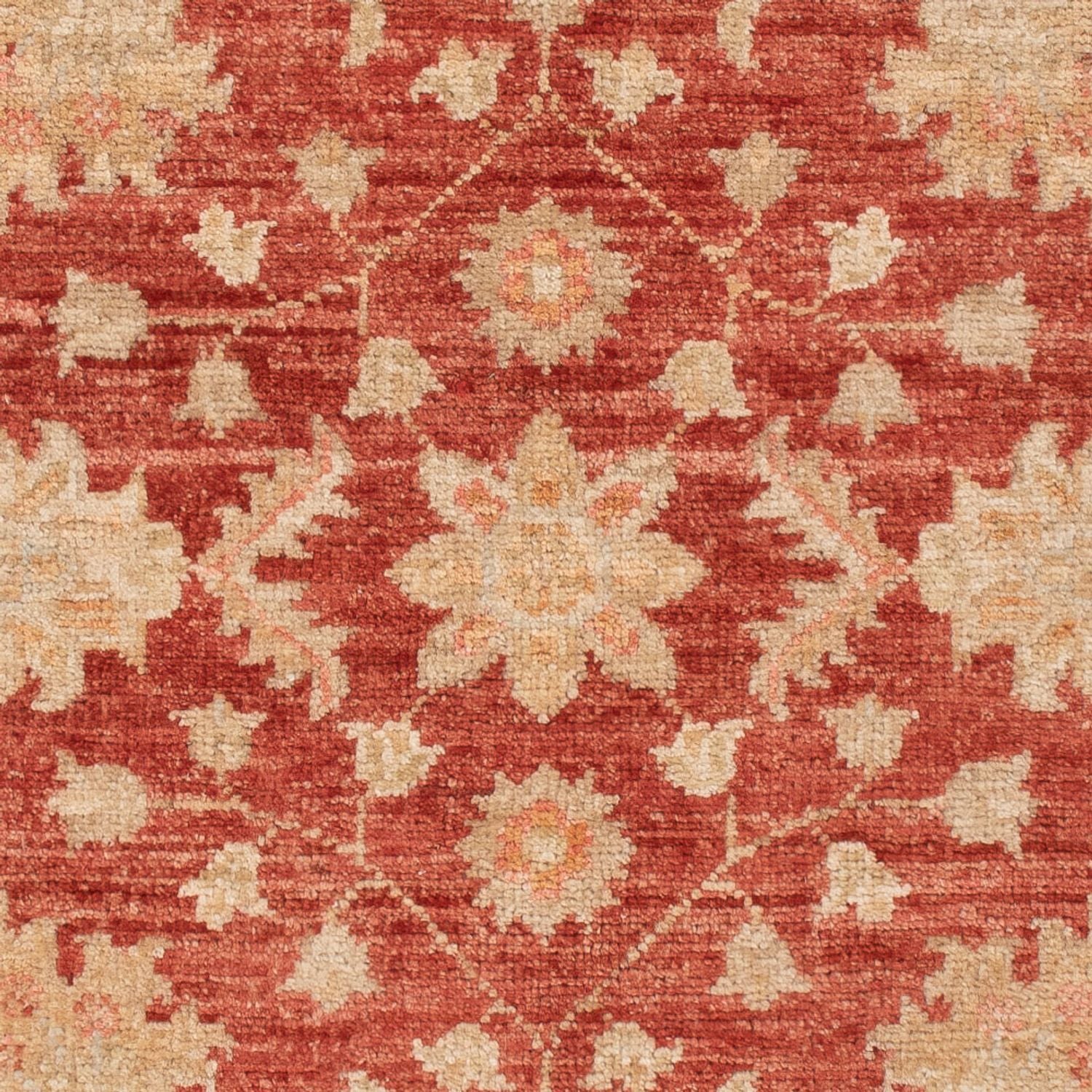 Alfombra Ziegler - 125 x 80 cm - rojo oscuro