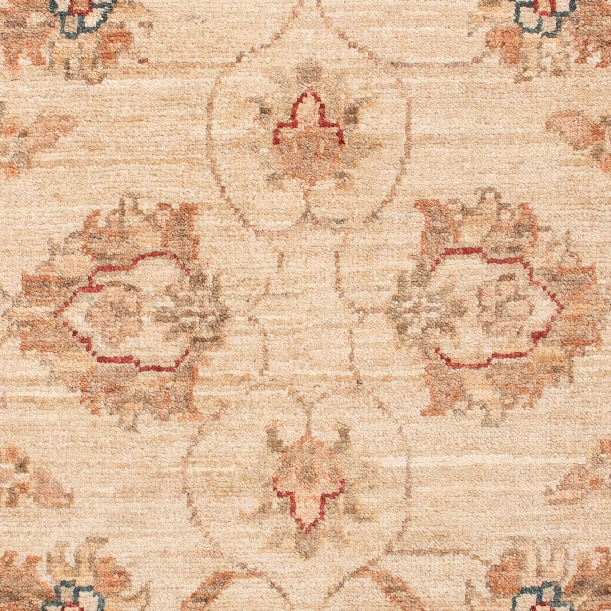 Alfombra Ziegler - 128 x 80 cm - beige