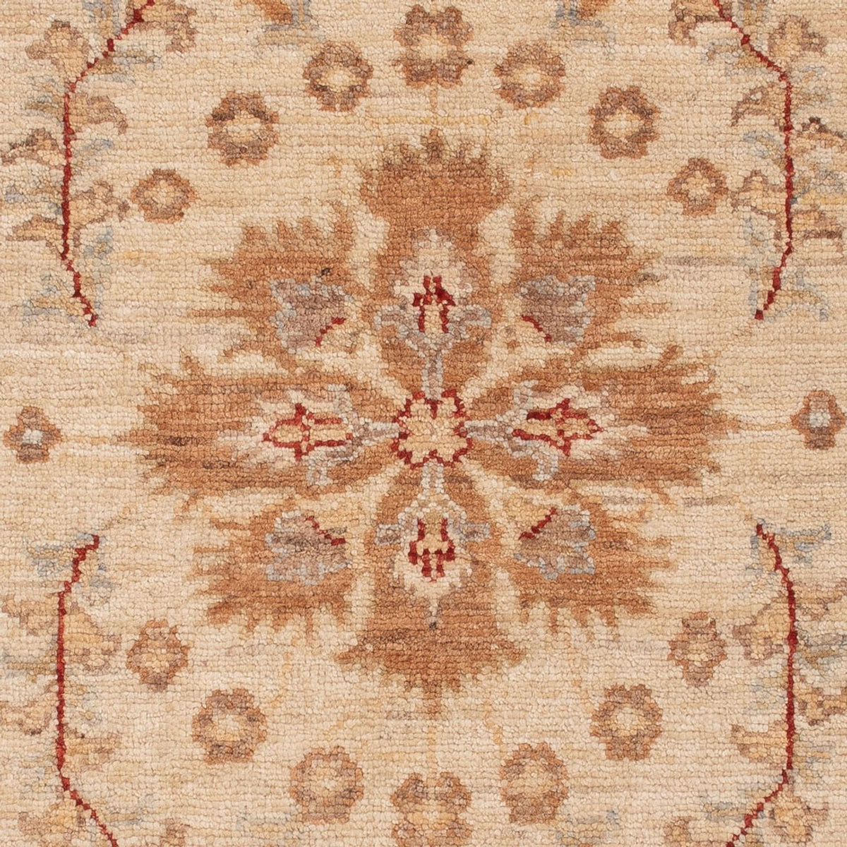 Alfombra Ziegler - 144 x 70 cm - beige