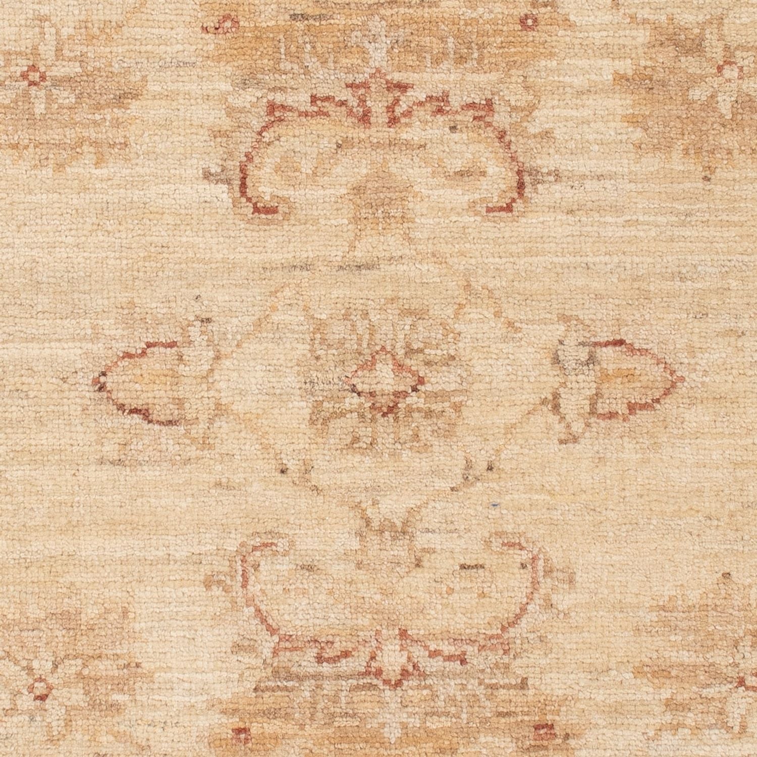 Alfombra Ziegler - 119 x 80 cm - beige