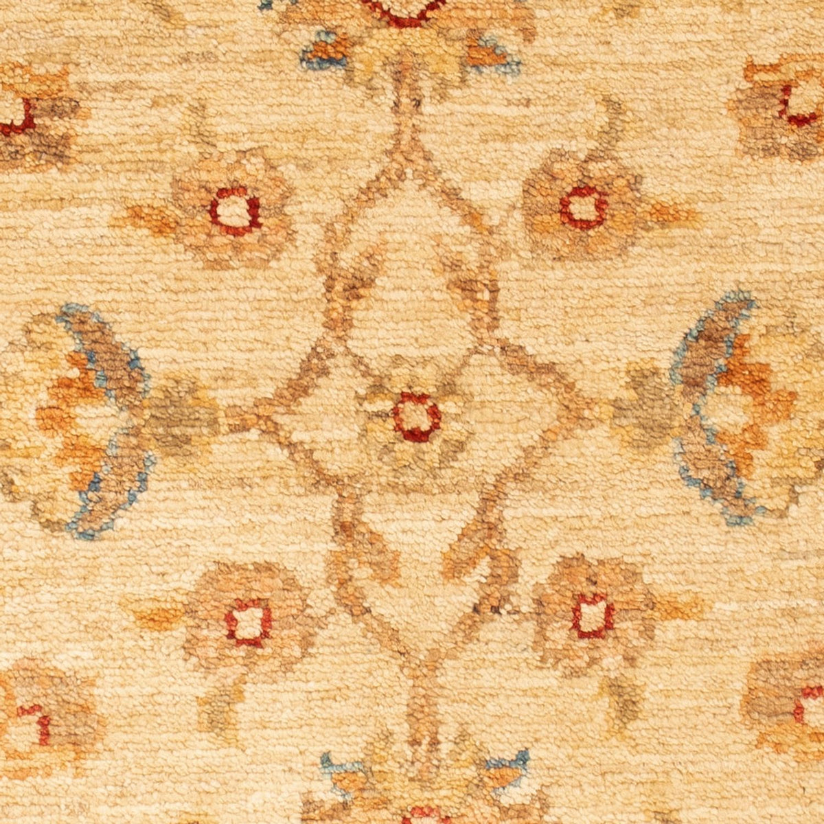 Alfombra Ziegler - 88 x 61 cm - beige