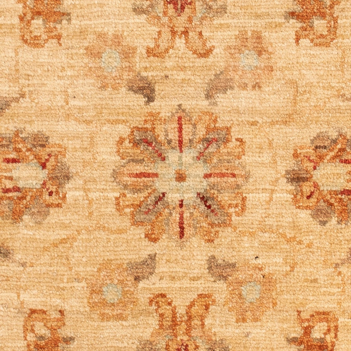 Alfombra Ziegler - 92 x 58 cm - beige