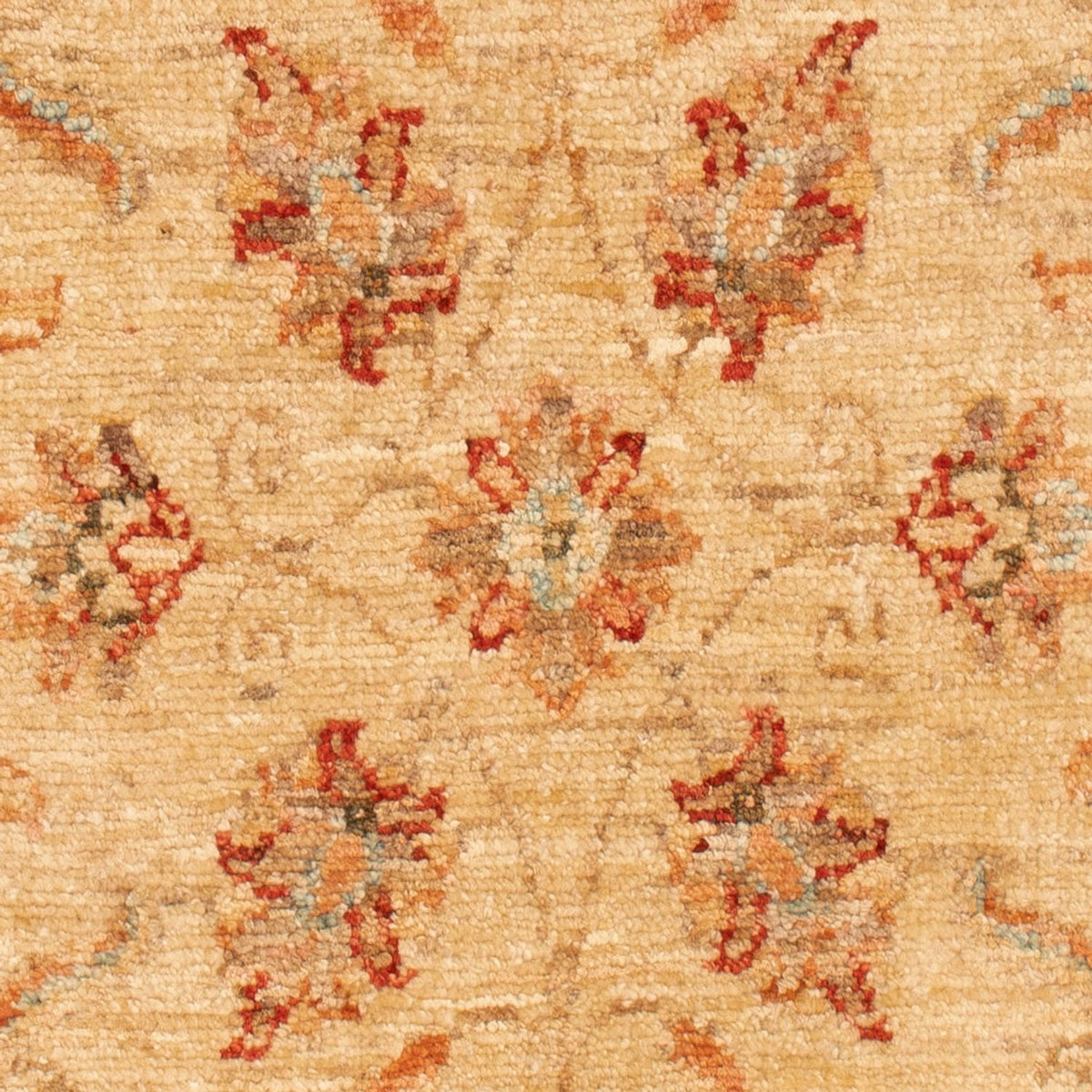 Alfombra Ziegler - 102 x 61 cm - beige