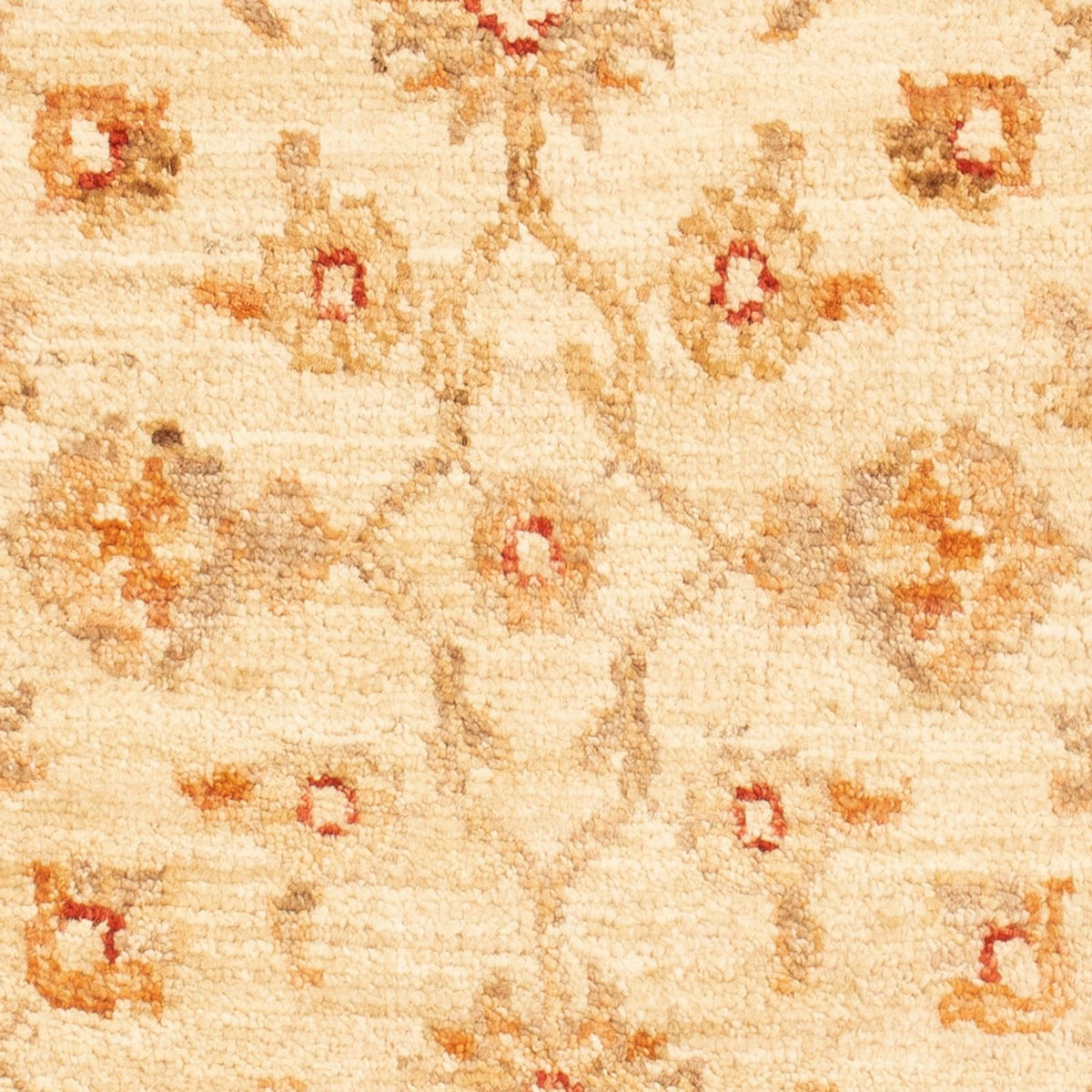 Alfombra Ziegler - 94 x 60 cm - beige