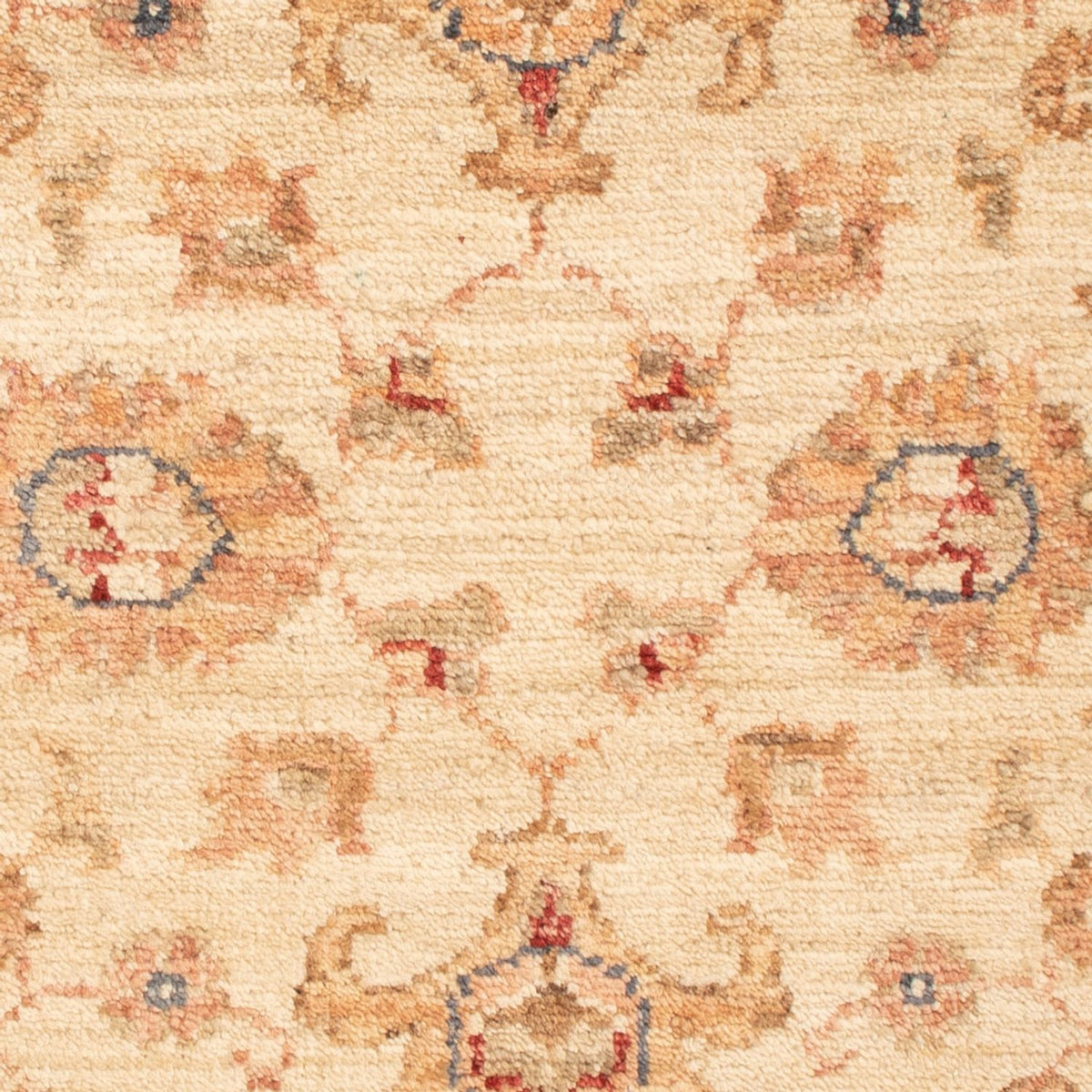 Alfombra Ziegler - 89 x 61 cm - beige