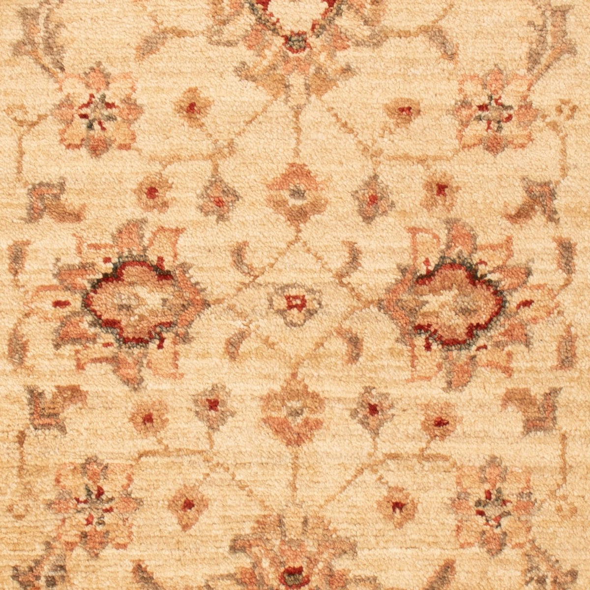 Alfombra Ziegler - 90 x 60 cm - beige