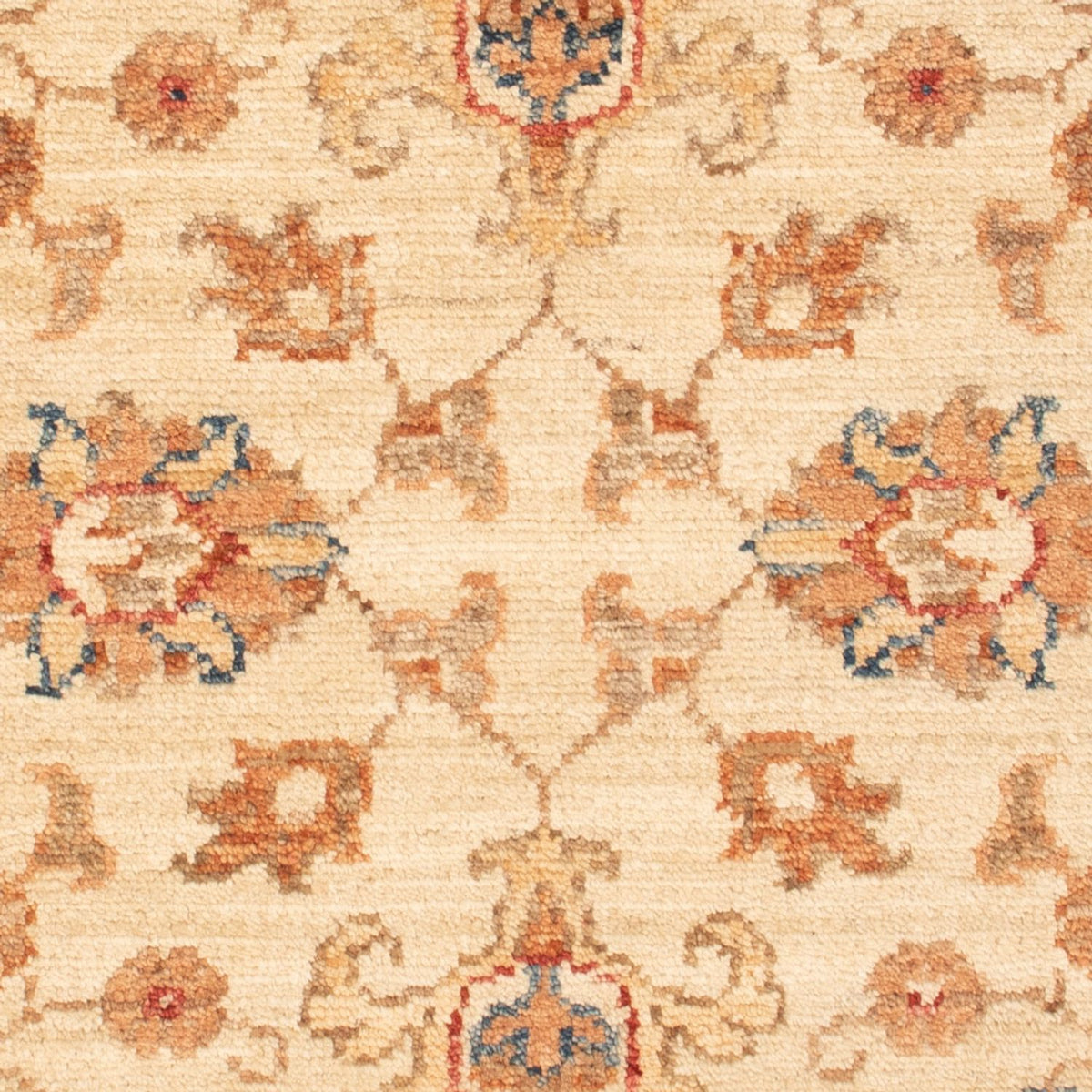 Alfombra Ziegler - 87 x 62 cm - beige