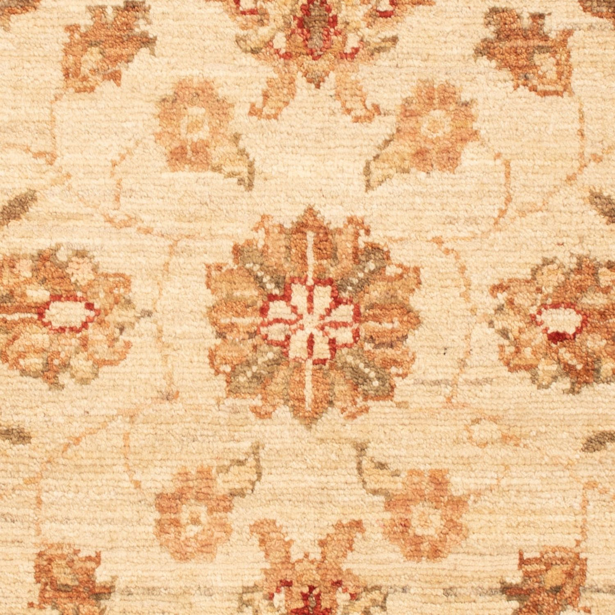 Alfombra Ziegler - 93 x 62 cm - beige